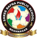 Shree Bafna Public School